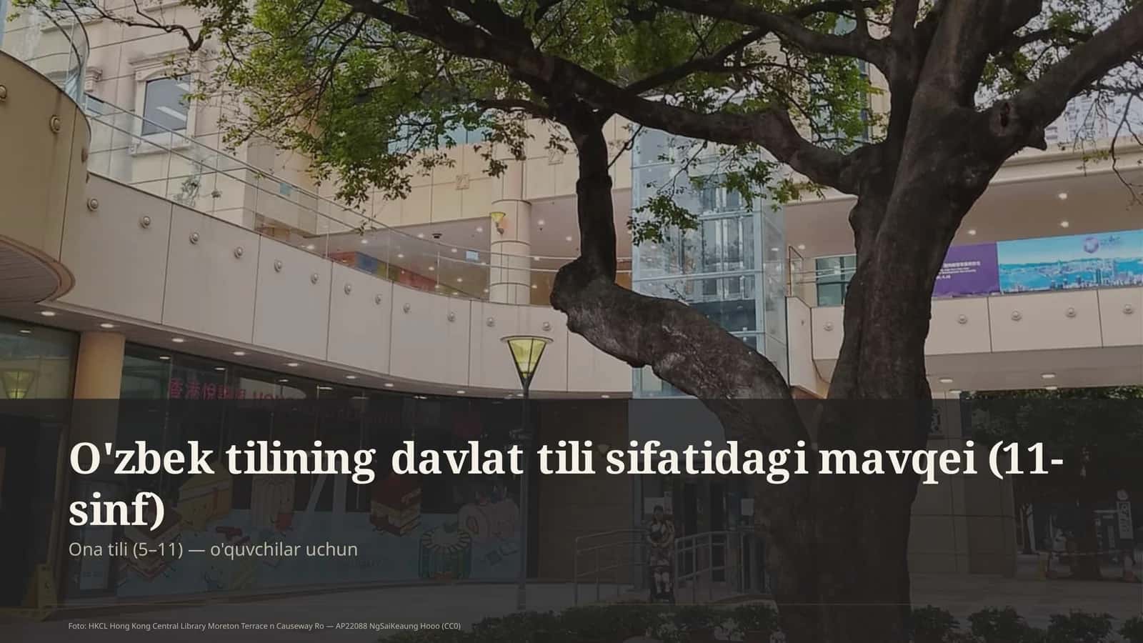 O'zbek tilining davlat tili sifatidagi mavqei (11-sinf)
