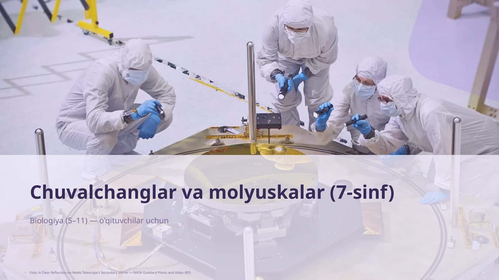 Chuvalchanglar va molyuskalar (7-sinf)