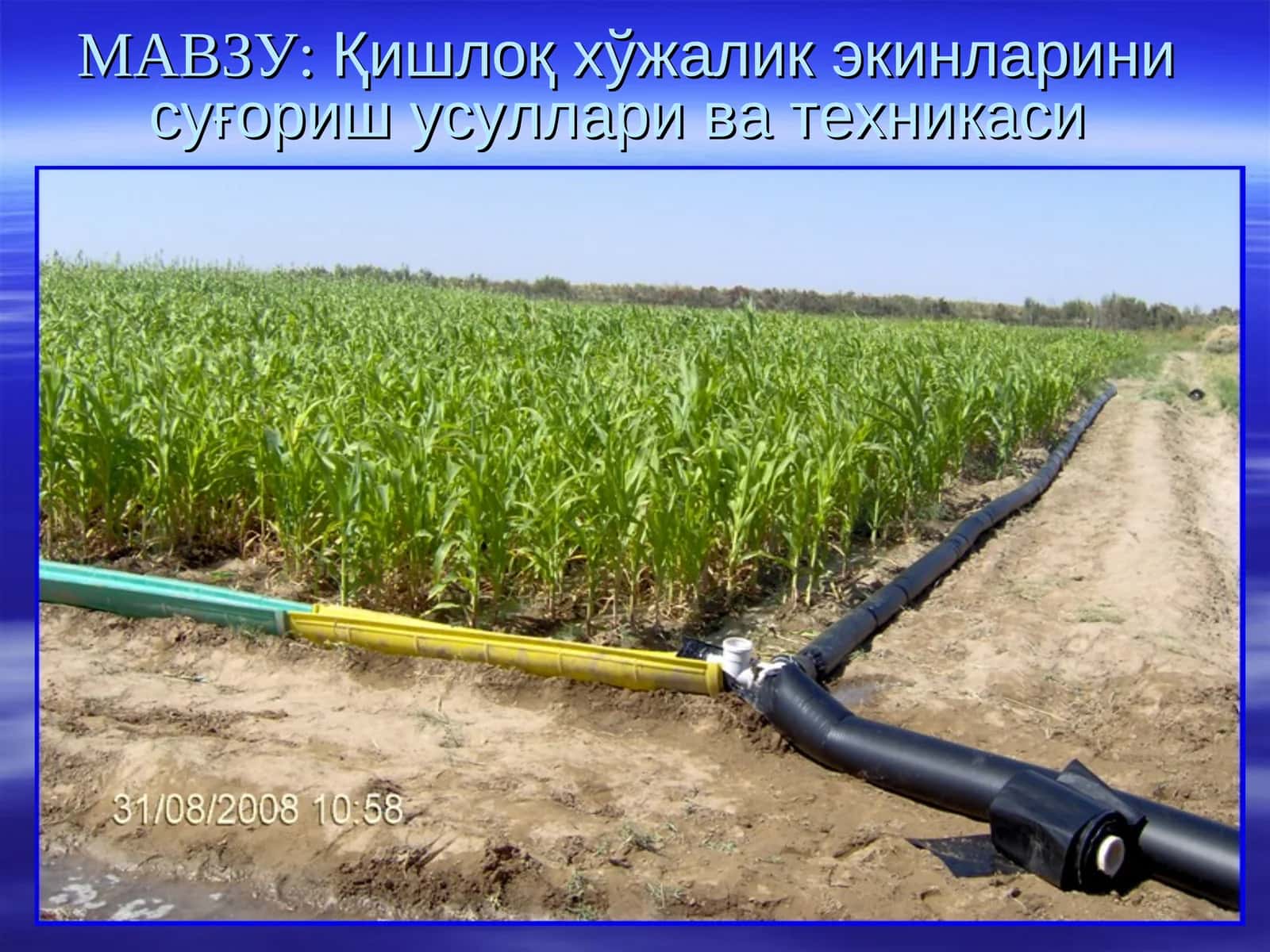 Қишлоқ хўжалик экинларини суғориш усуллари ва техникаси