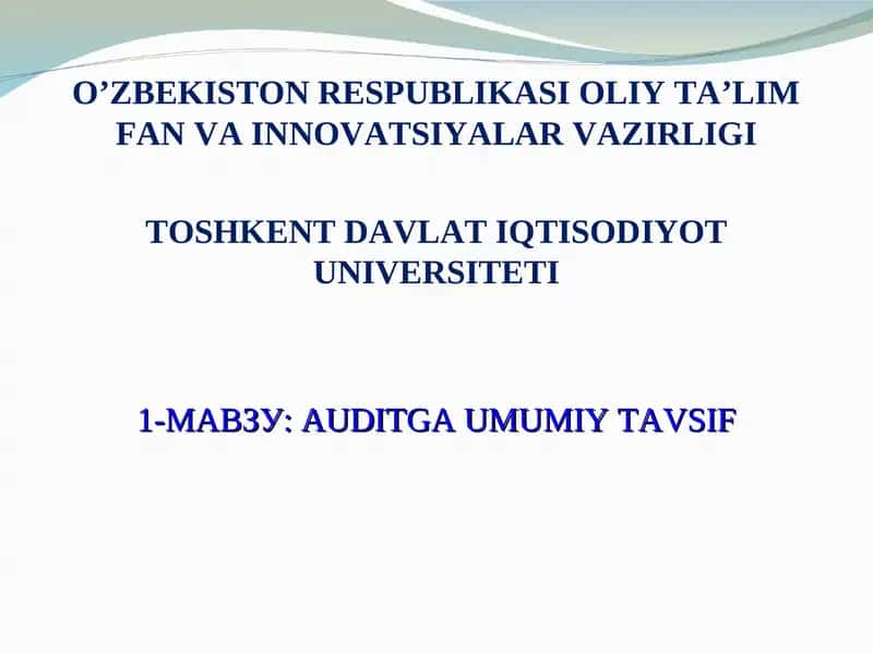 AUDITGA UMUMIY TAVSIF