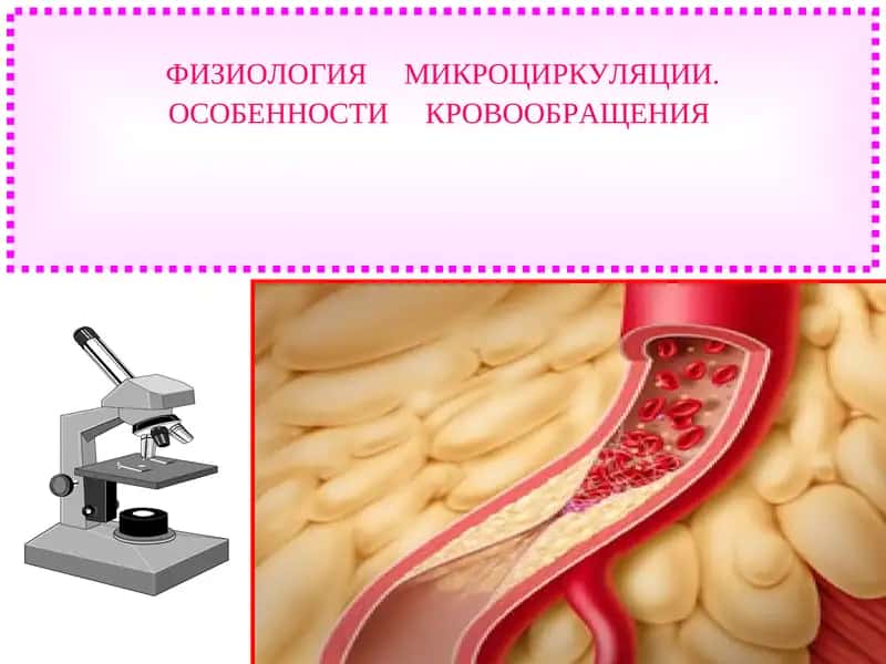 ФИЗИОЛОГИЯ МИКРОЦИРКУЛЯЦИИ