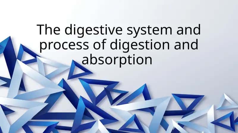 The digestive system and process of digestion and absorption