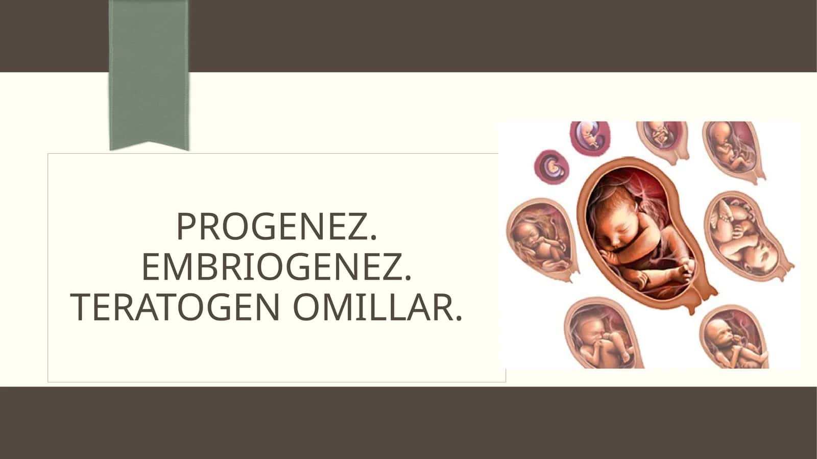 Progenez va EmbrIogenez