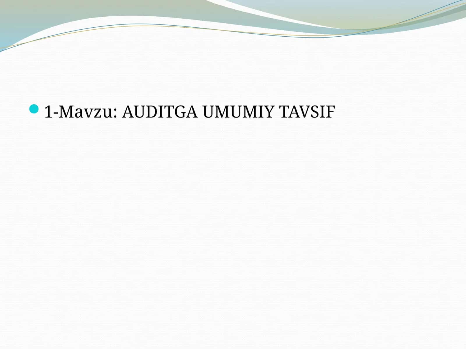 AUDITGA UMUMIY TAVSIF