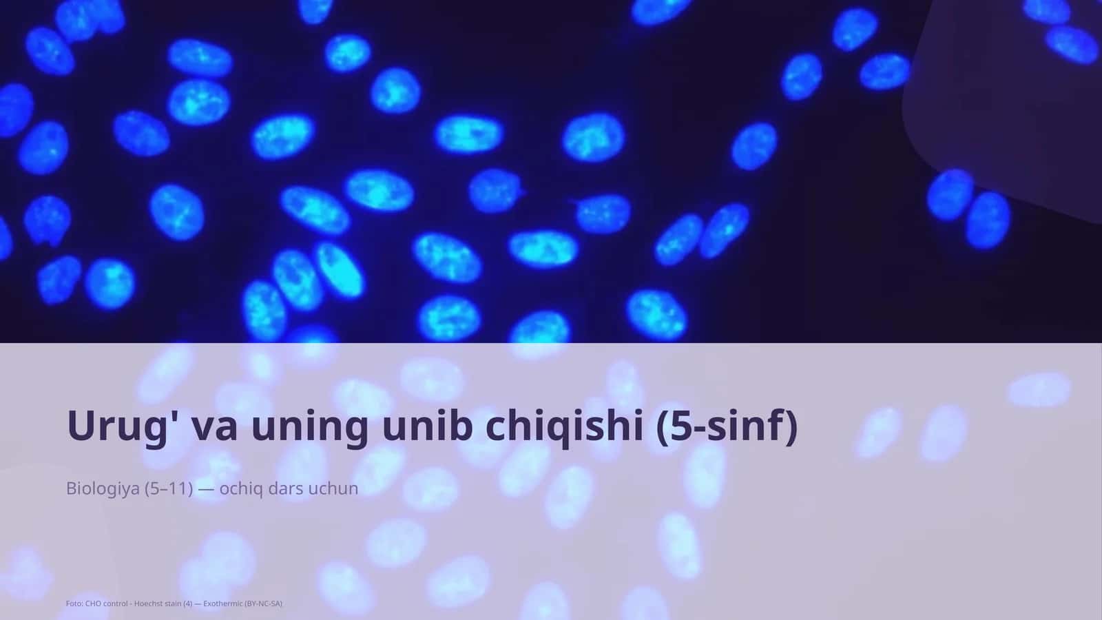 Urug' va unib chiqishi (5-sinf)