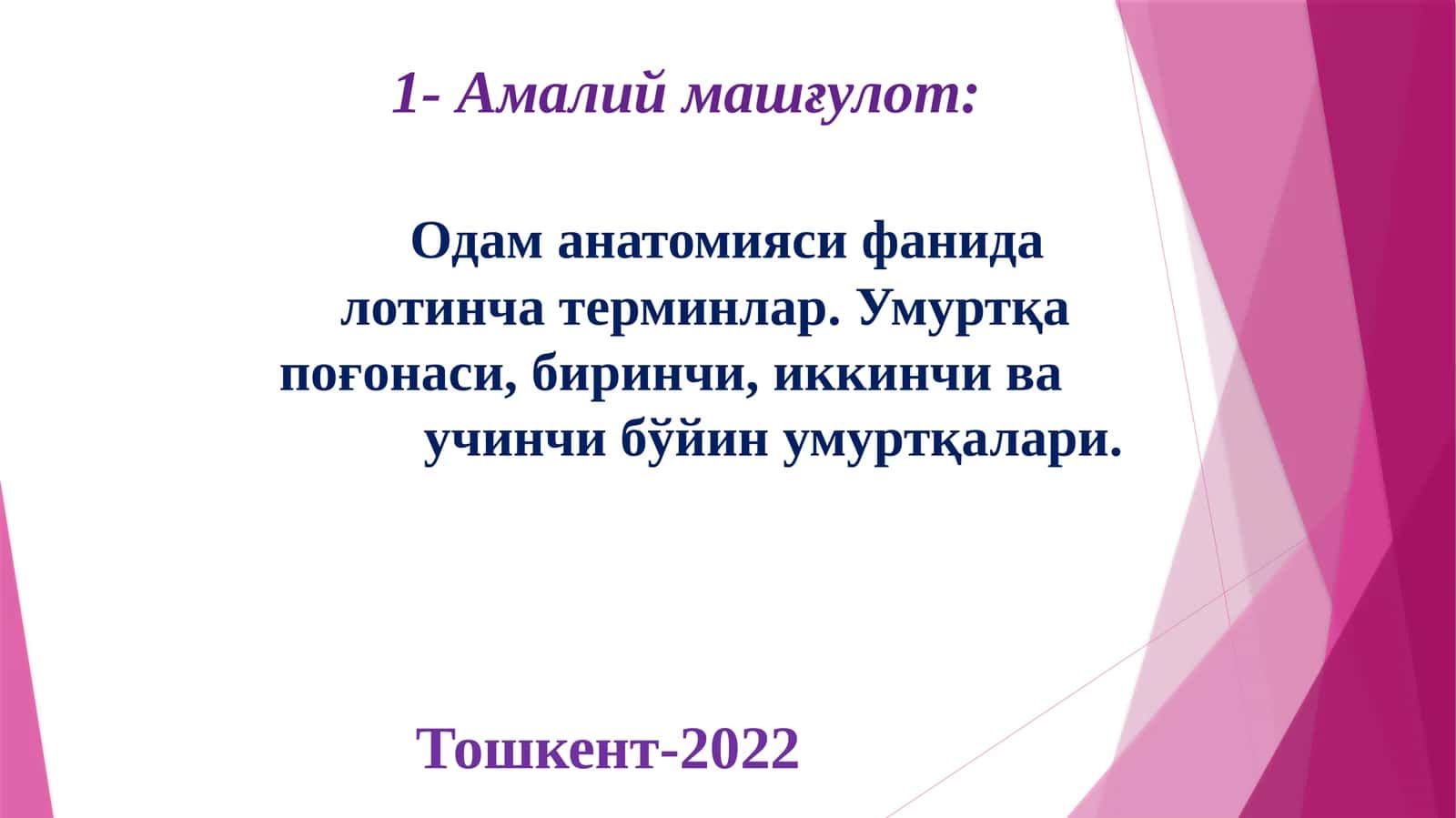 Одаманатомиясифанида лотинчатерминлар.Умуртқа поғонаси,биринчи,иккинчива учинчибўйинумуртқалари