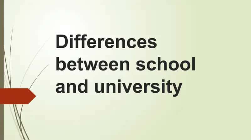 School vs University Comparison