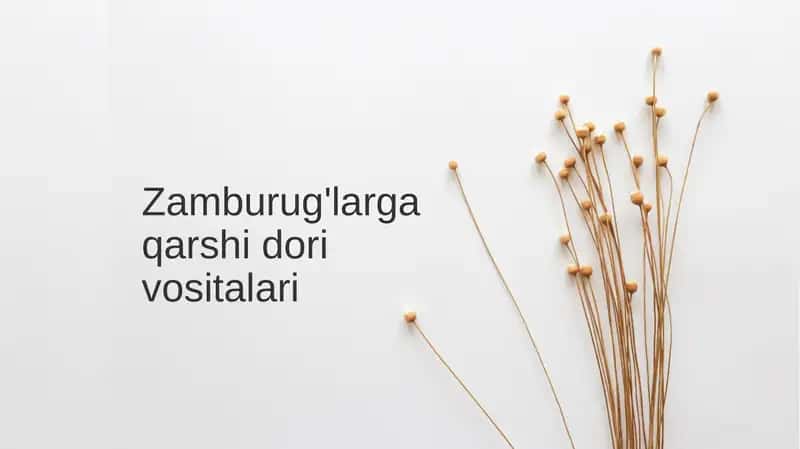 Zamburug'larga qarshi dorilarni vositalari