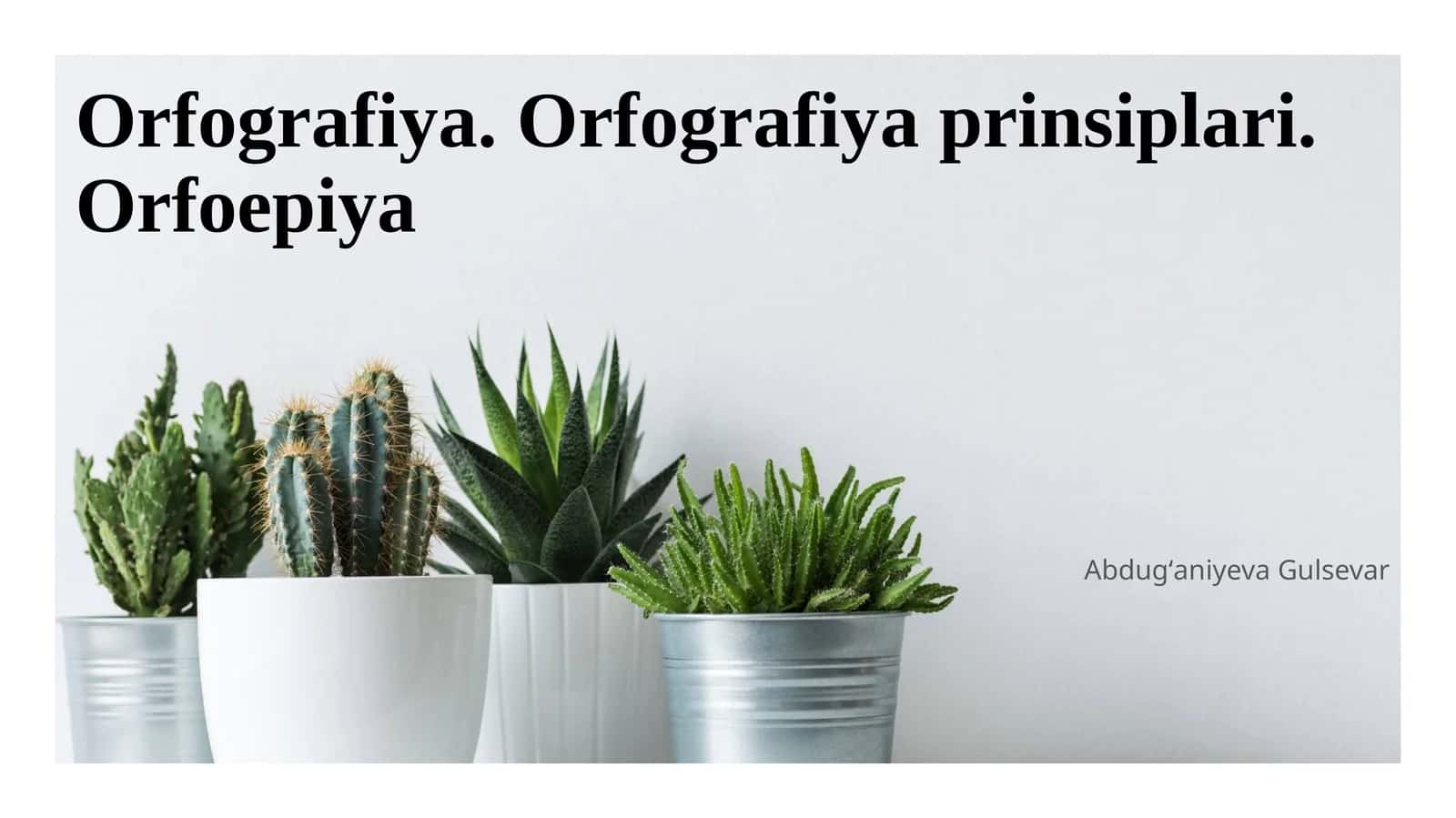 Orfografiya. Orfografiya prinsiplari. Orfoepiya
