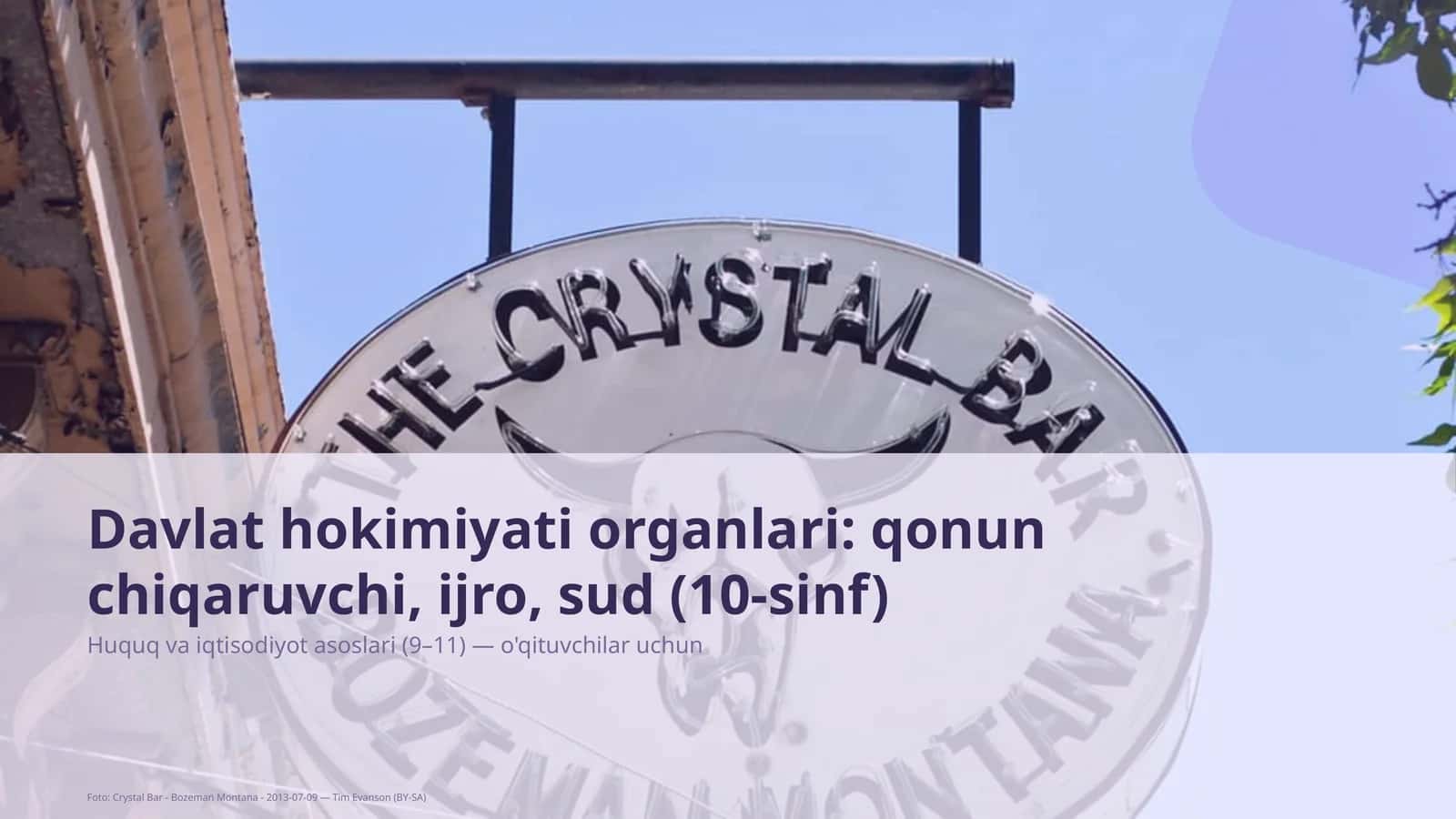 Davlat hokimiyati organlari: qonun chiqaruvchi, ijro, sud (10-sinf)