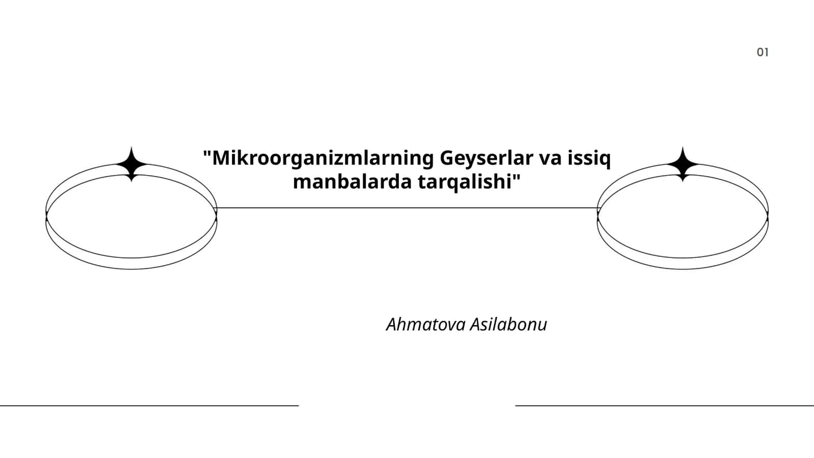 Mikroorganizmlarning Geyserlar va issiq manbalarda tarqalishi