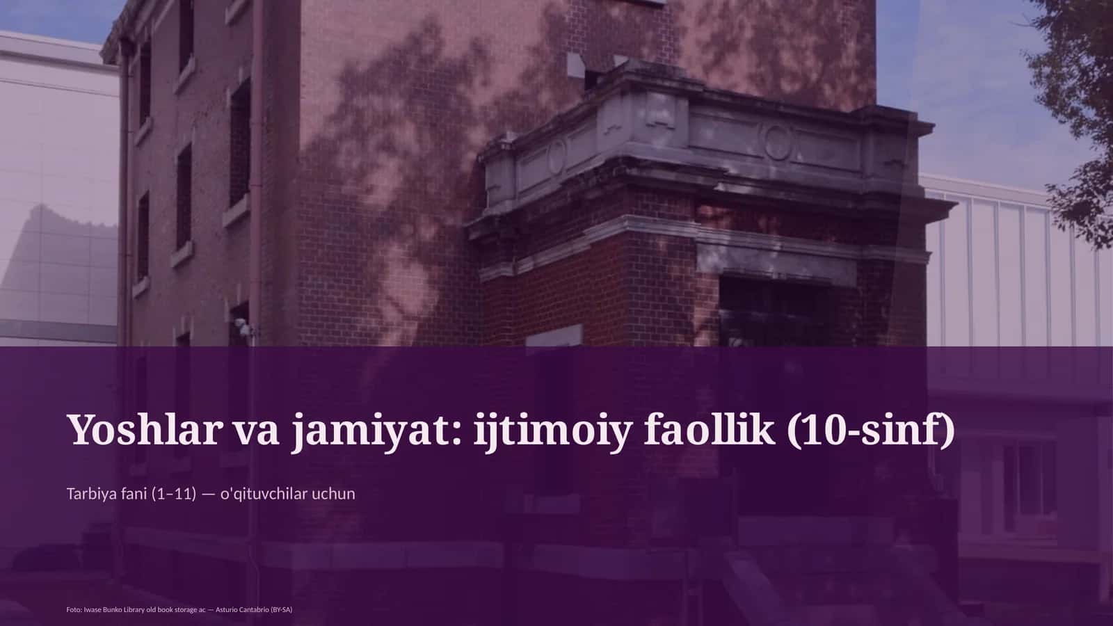 Yoshlar va jamiyat: ijtimoiy faollik (10-sinf)