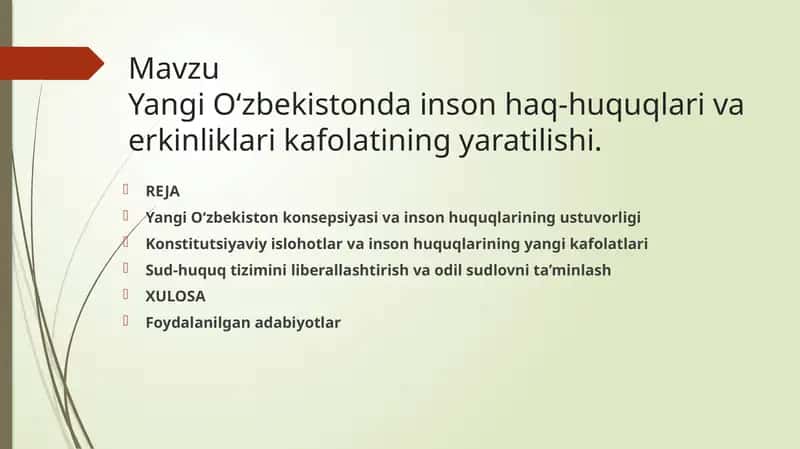 Mavzu Yangi O'zbekiston inson haq huquqlari haqida.