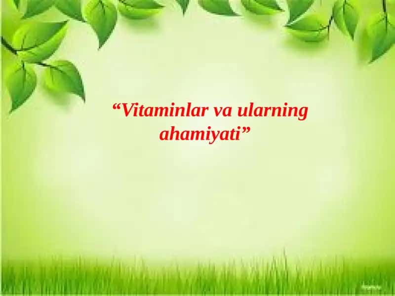 Vitaminlar va ularning ahamiyati