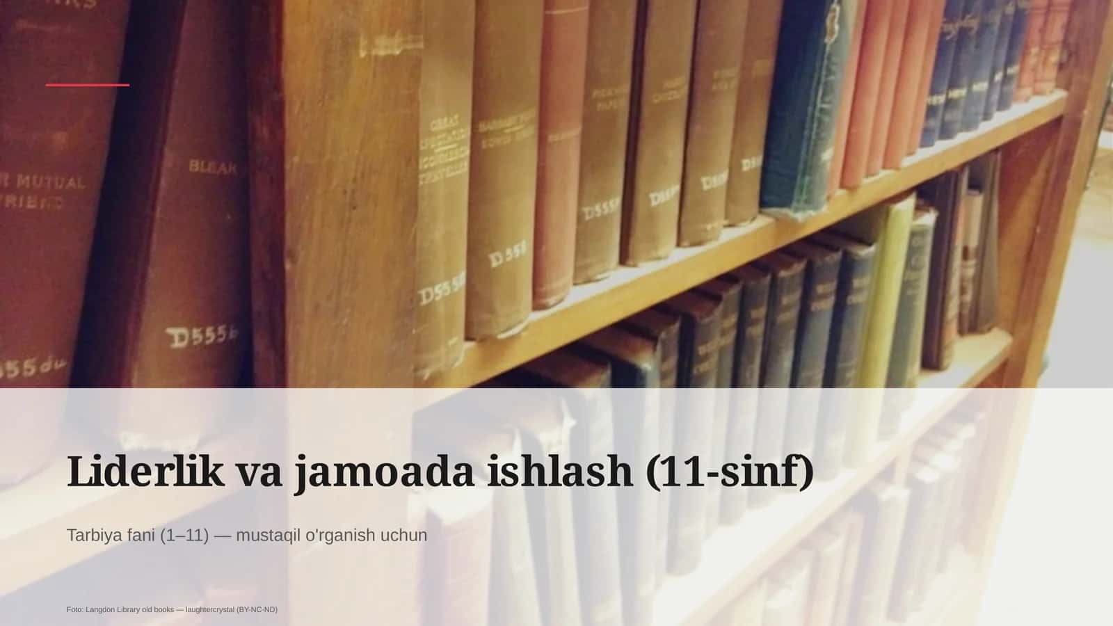 Liderlik va jamoada ishlash (11-sinf)
