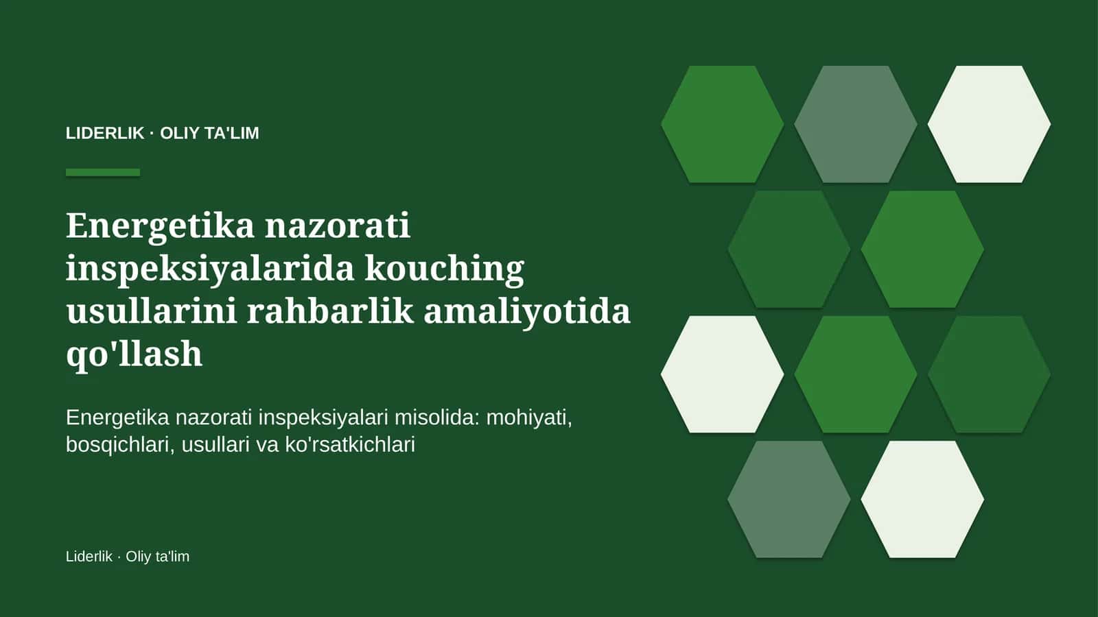 Energetika nazorati inspeksiyalarida kouching usullarini rahbarlik amaliyotida qo'llash