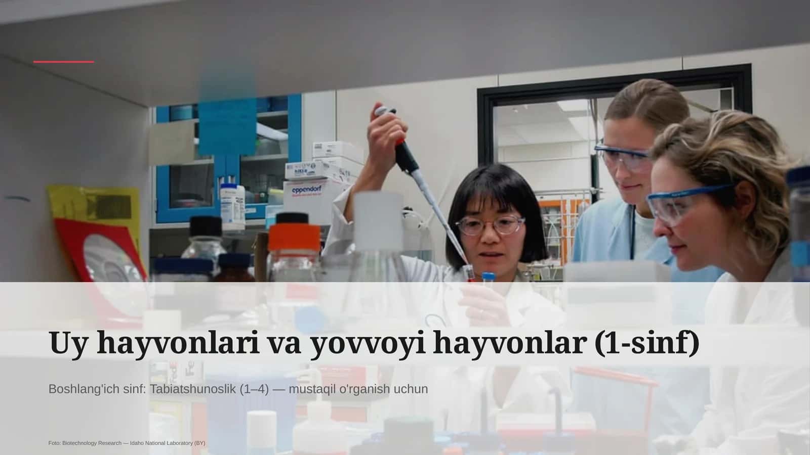 Uy hayvonlari va yovvoyi hayvonlar (1-sinf)