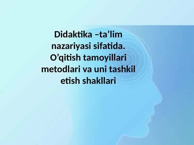 Didaktika –ta’lim nazariyasi sifatida. O’qitish tamoyillari metodlari va uni tashkil etish shakllari