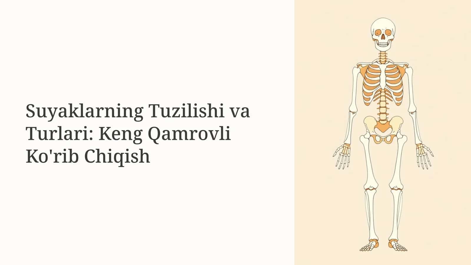 Suyaklarning Tuzilishi va Turlari
