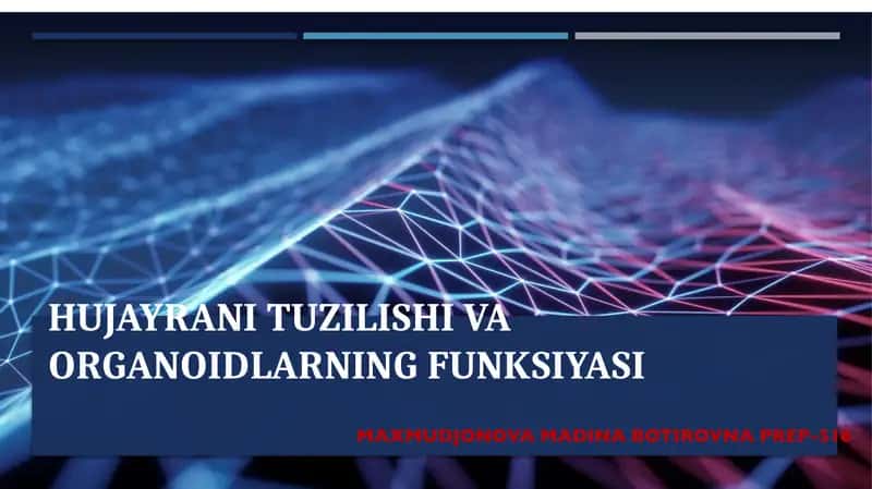 Hujayrani tuzilishi va organoidlarning funksiyasi