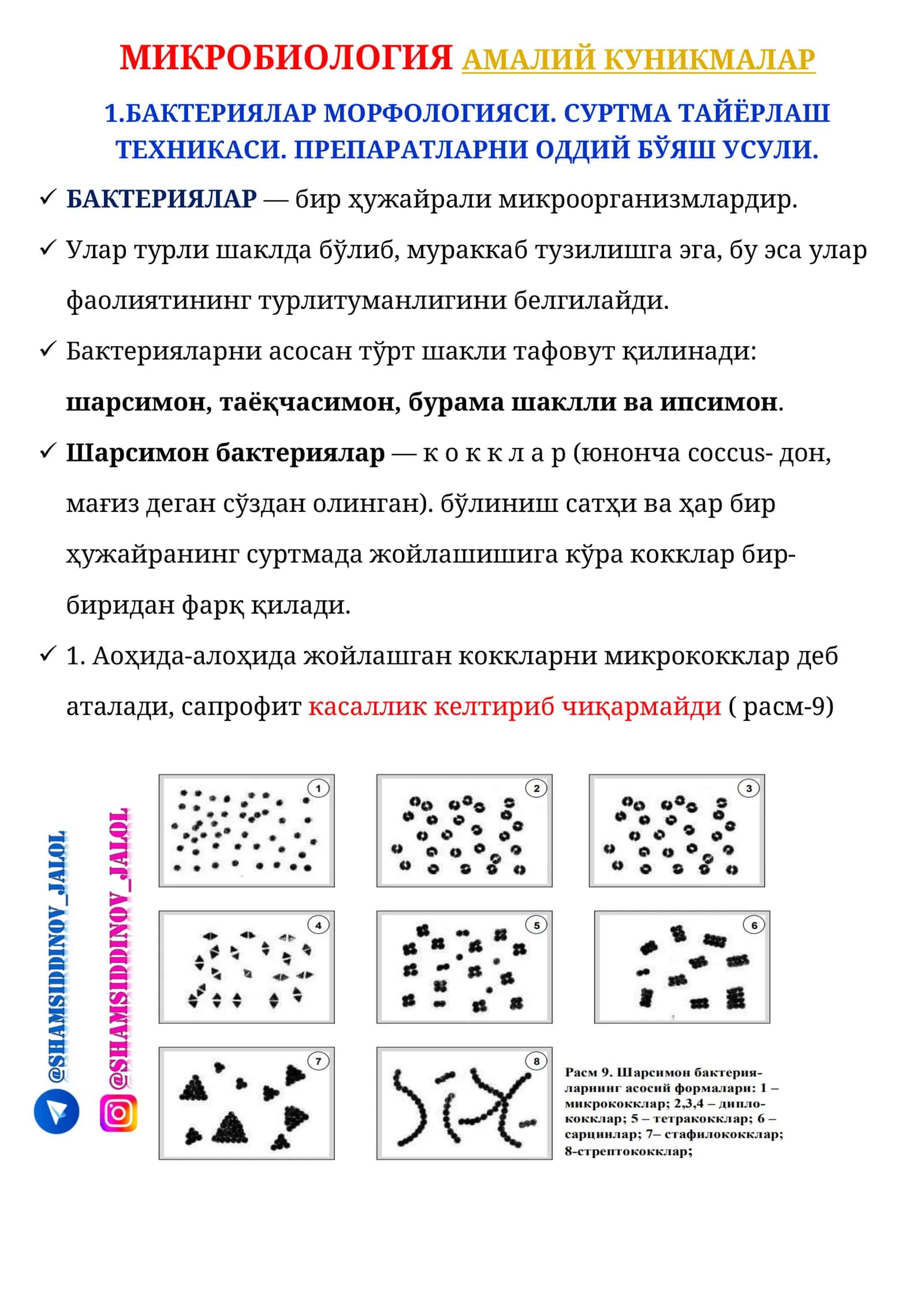 МИКРОБИОЛОГИЯ АМАЛИЙ КУНИКМАЛАР