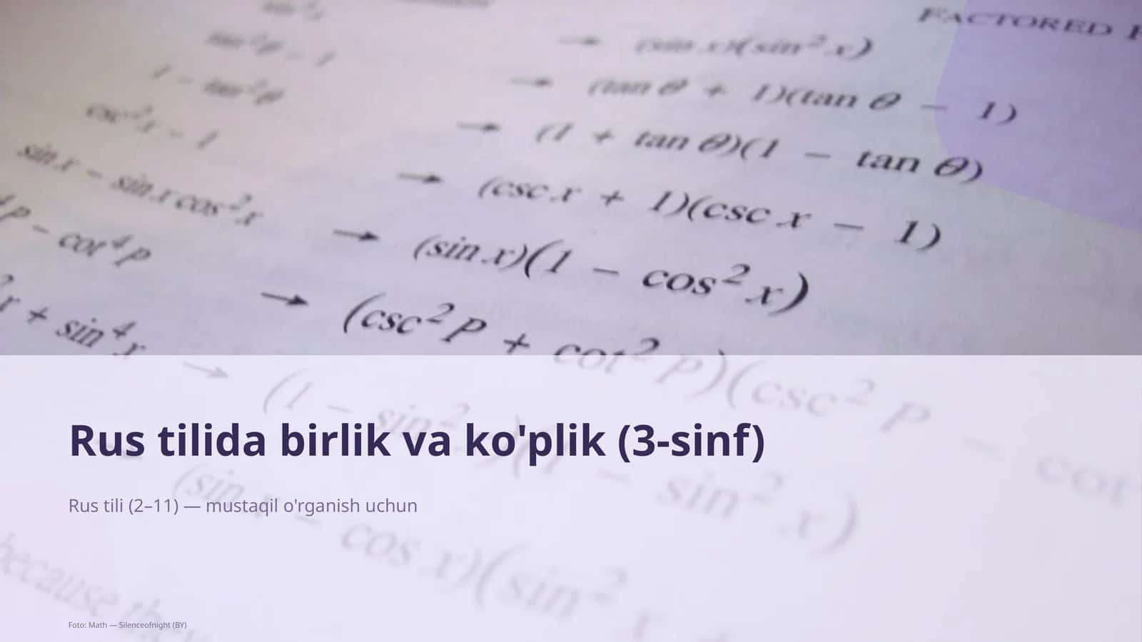 Rus tilida birlik va ko'plik (3-sinf)