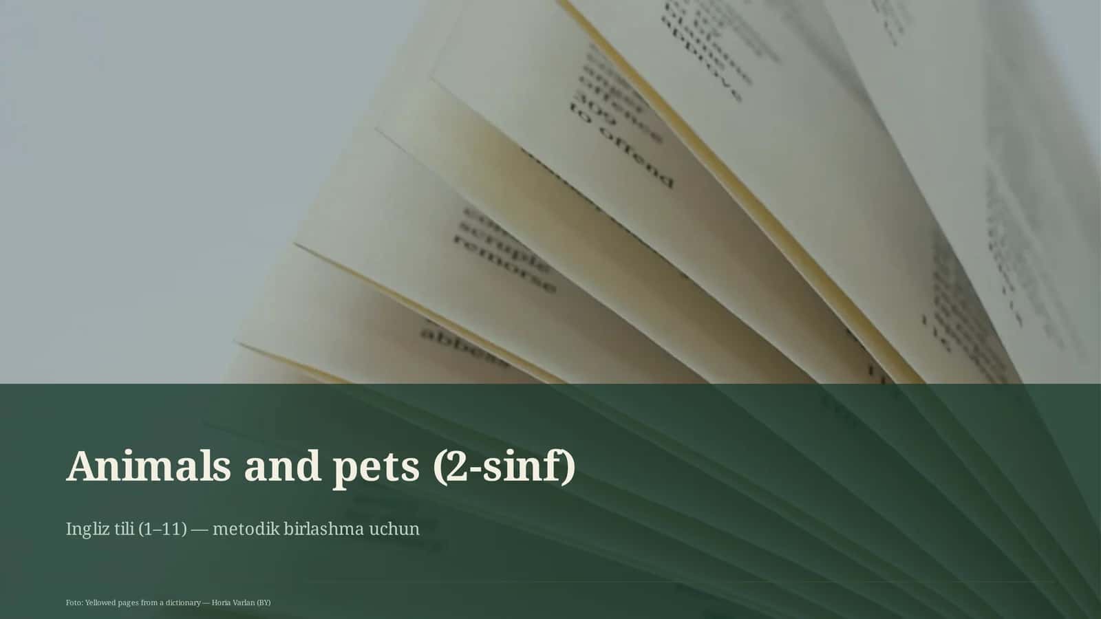 Animals and pets (2-sinf)