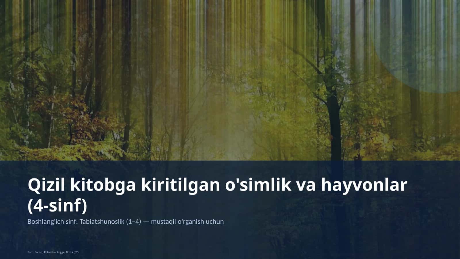 Qizil kitobga kiritilgan o'simlik va hayvonlar (4-sinf)