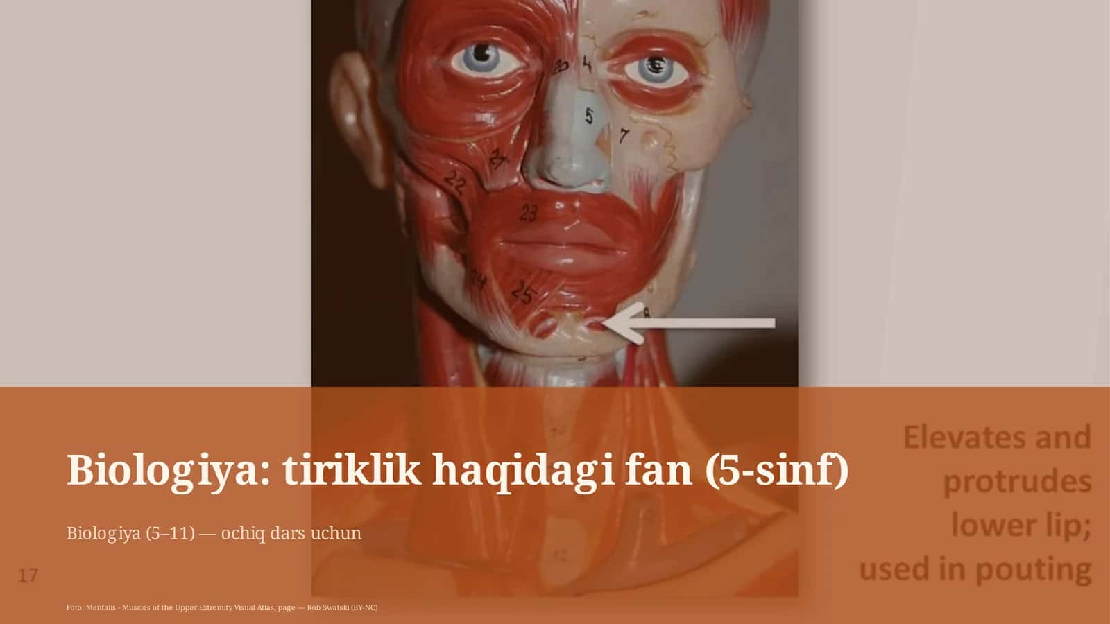 Biologiya: tiriklik haqidagi fan (5-sinf)