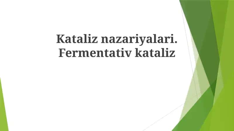 Fermentativ kataliz