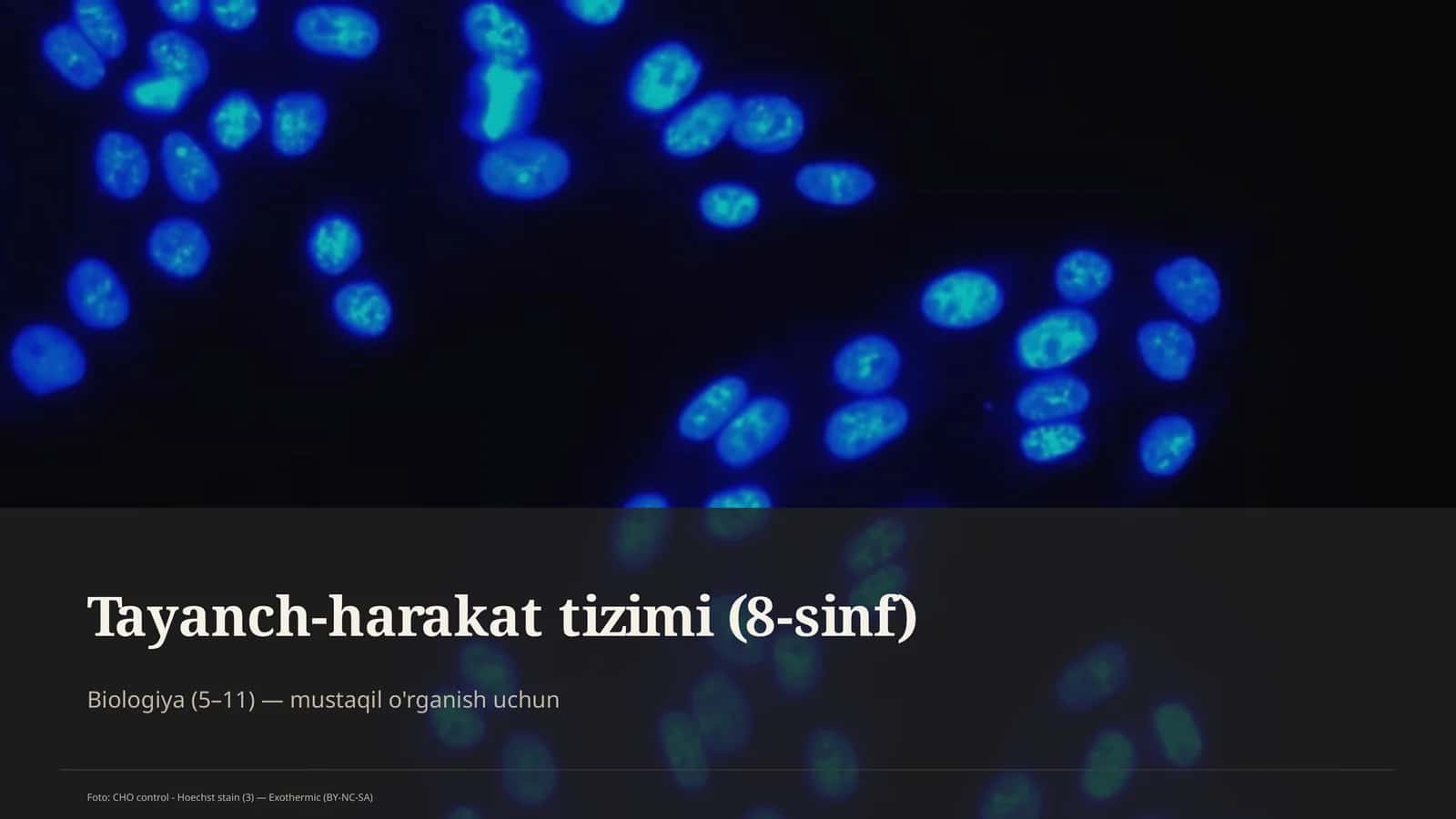 Tayanch-harakat tizimi (8-sinf)