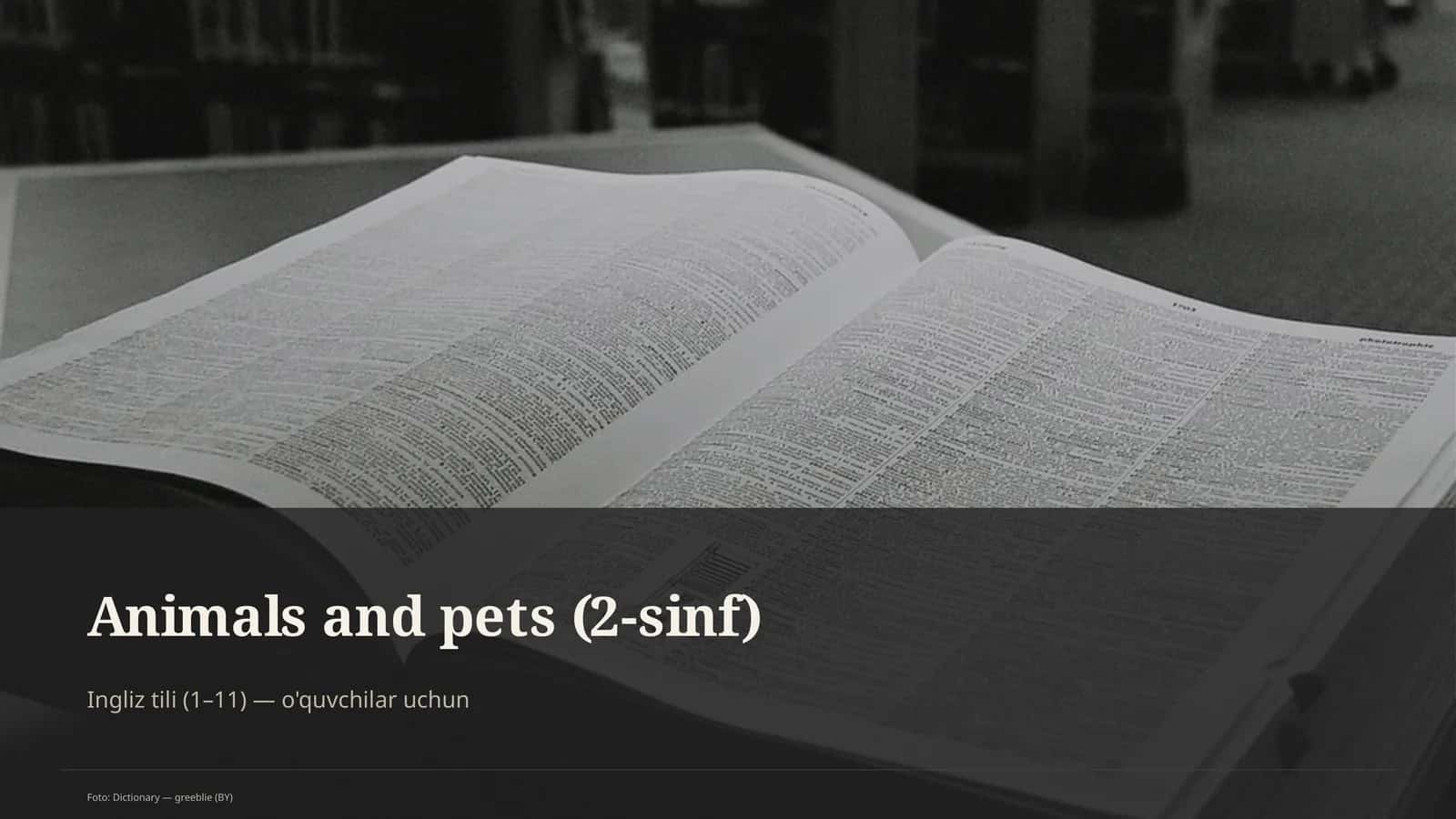 Animals and pets (2-sinf)