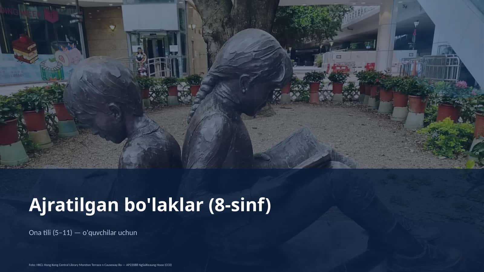 Ajratilgan bo'laklar (8-sinf)