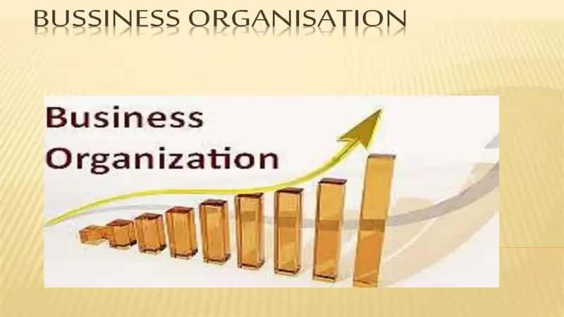 Business Organization