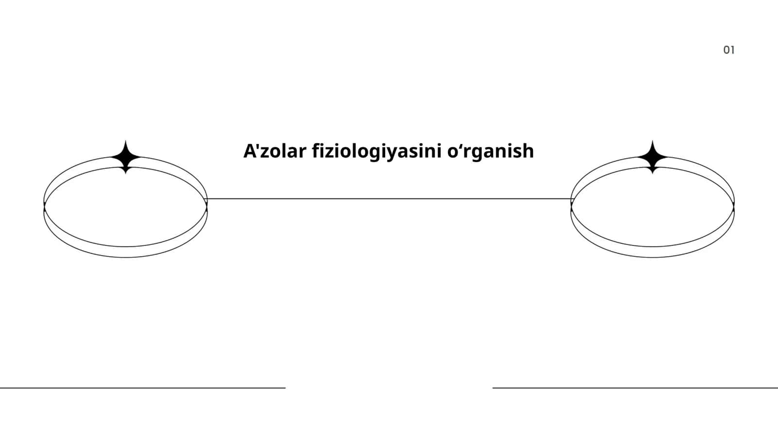 A'zolar fiziologiyasi asoslari