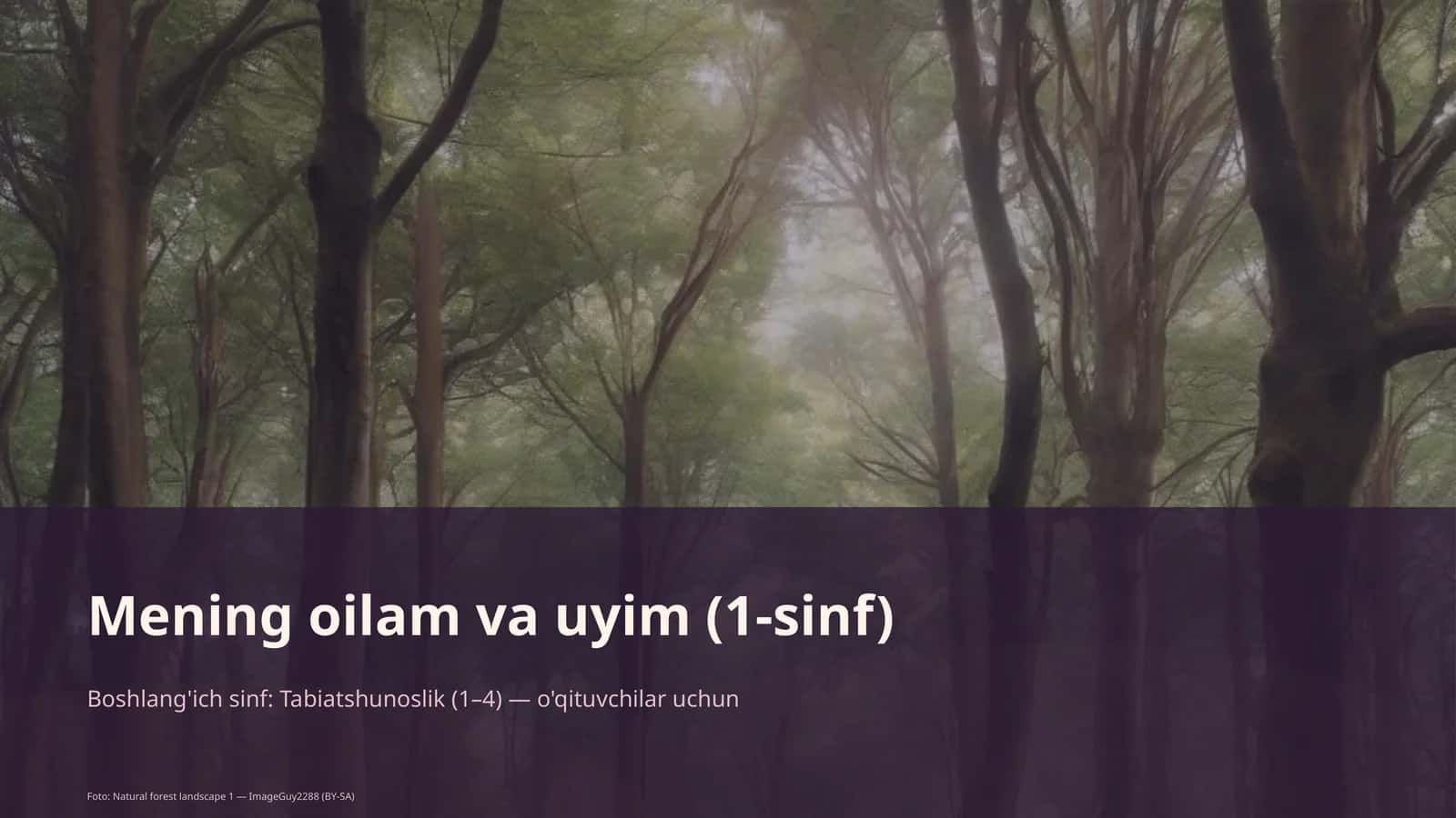 Mening oilam va uyim (1-sinf)