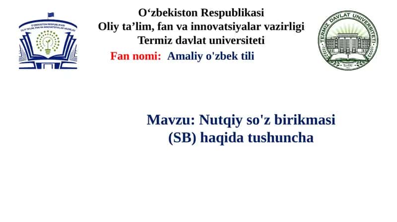 Nutqiy so'z birikmasi (SB) haqida tushuncha