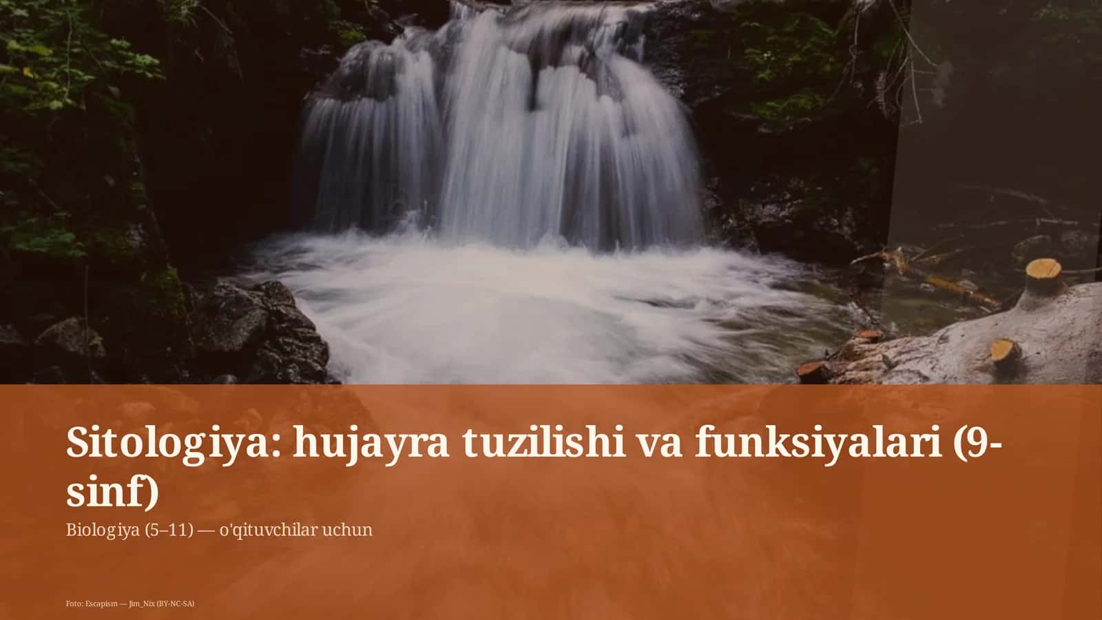 Sitologiya: hujayra tuzilishi va funksiyalari (9-sinf)