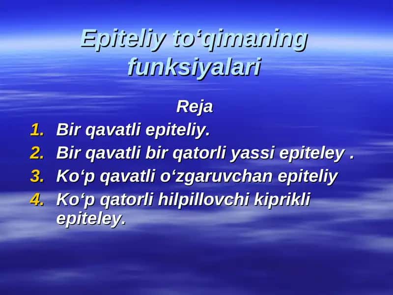 Epiteliy toʻqimaning funksiyalari