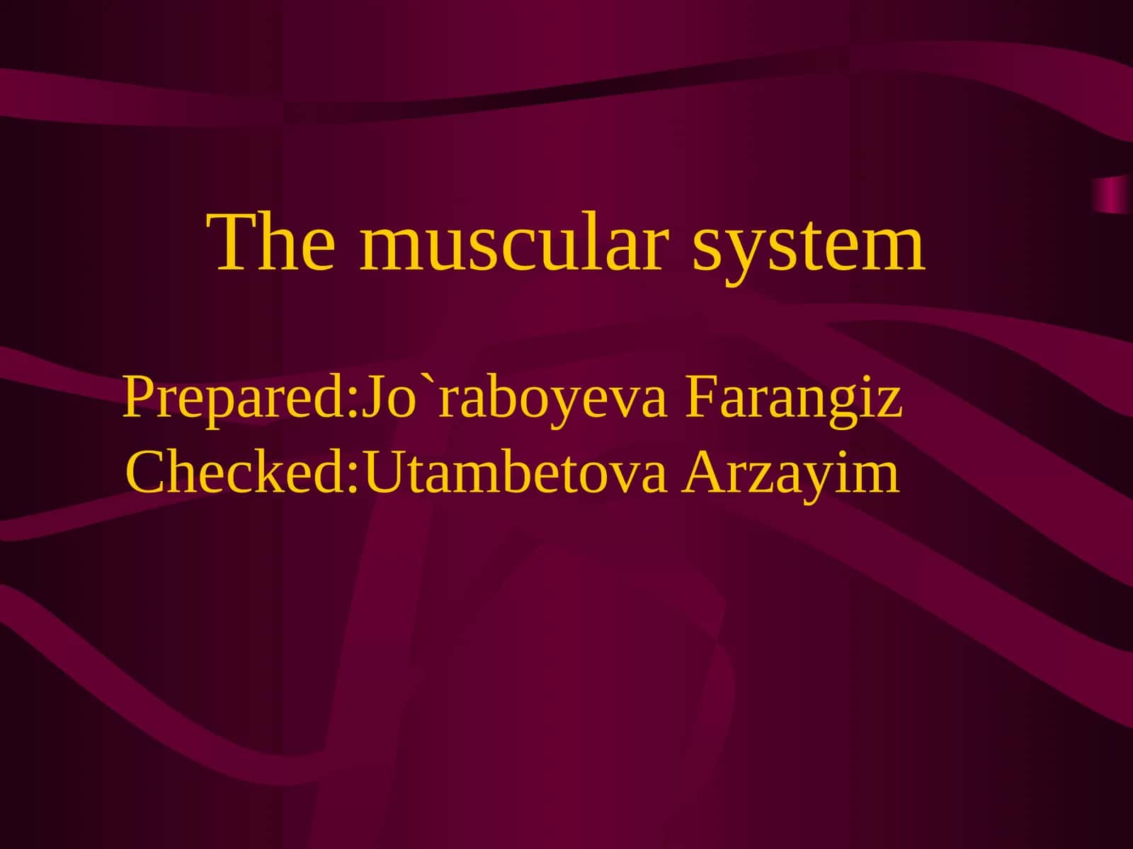 The muscular system