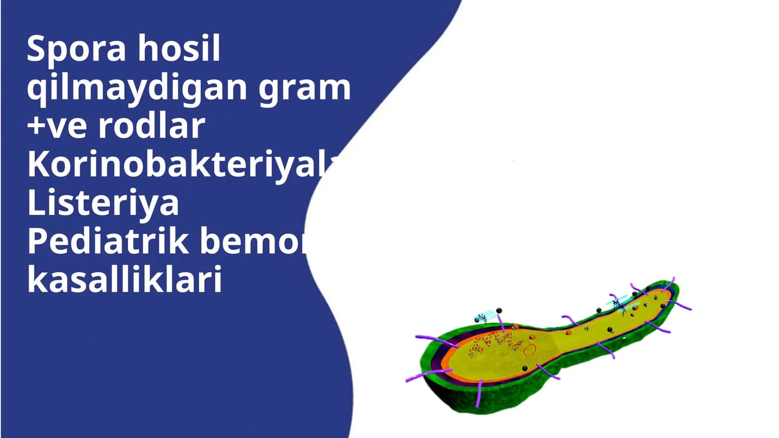 Sporahosilqilmaydigangram