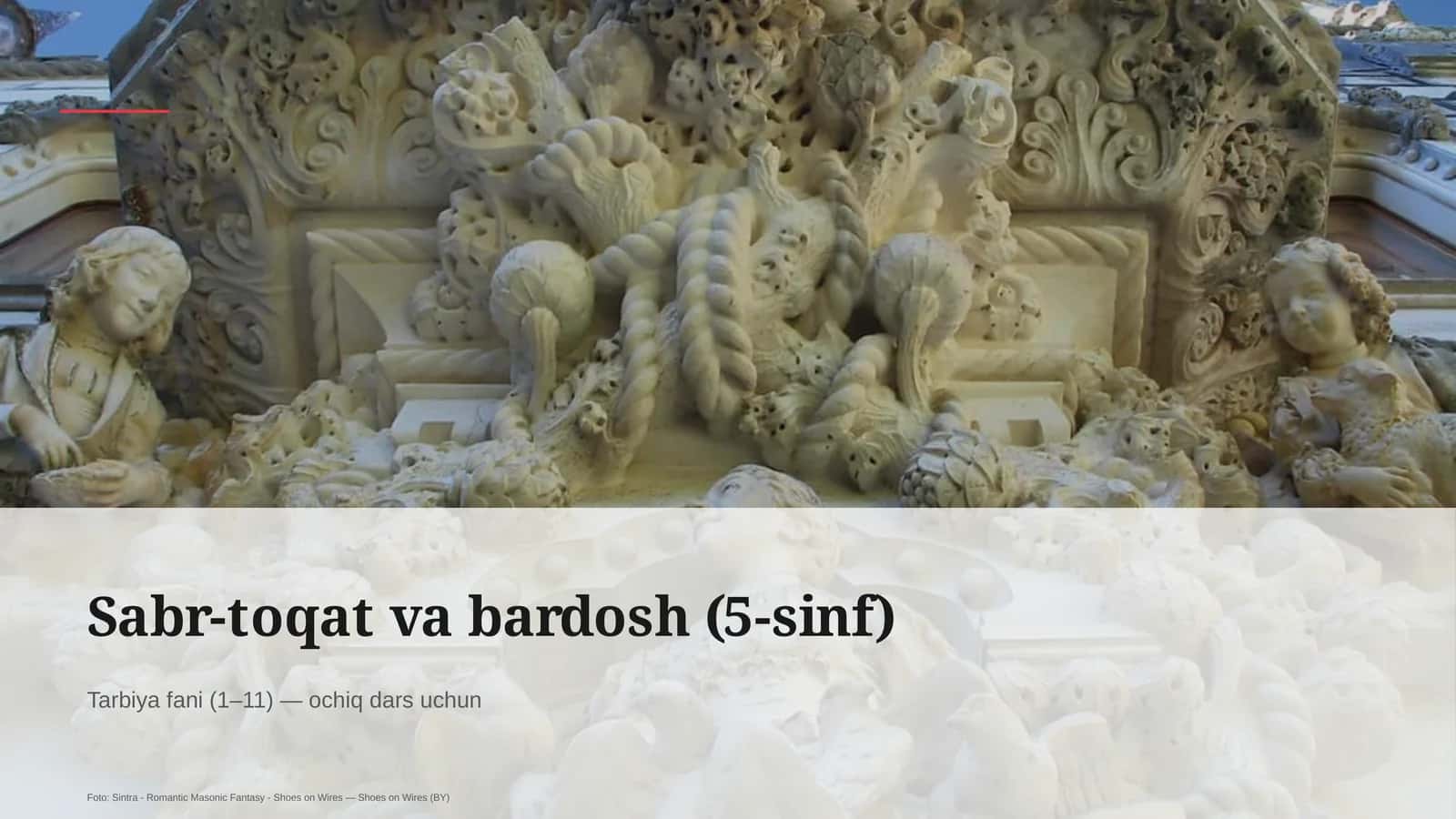 Sabr-toqat va bardosh (5-sinf)