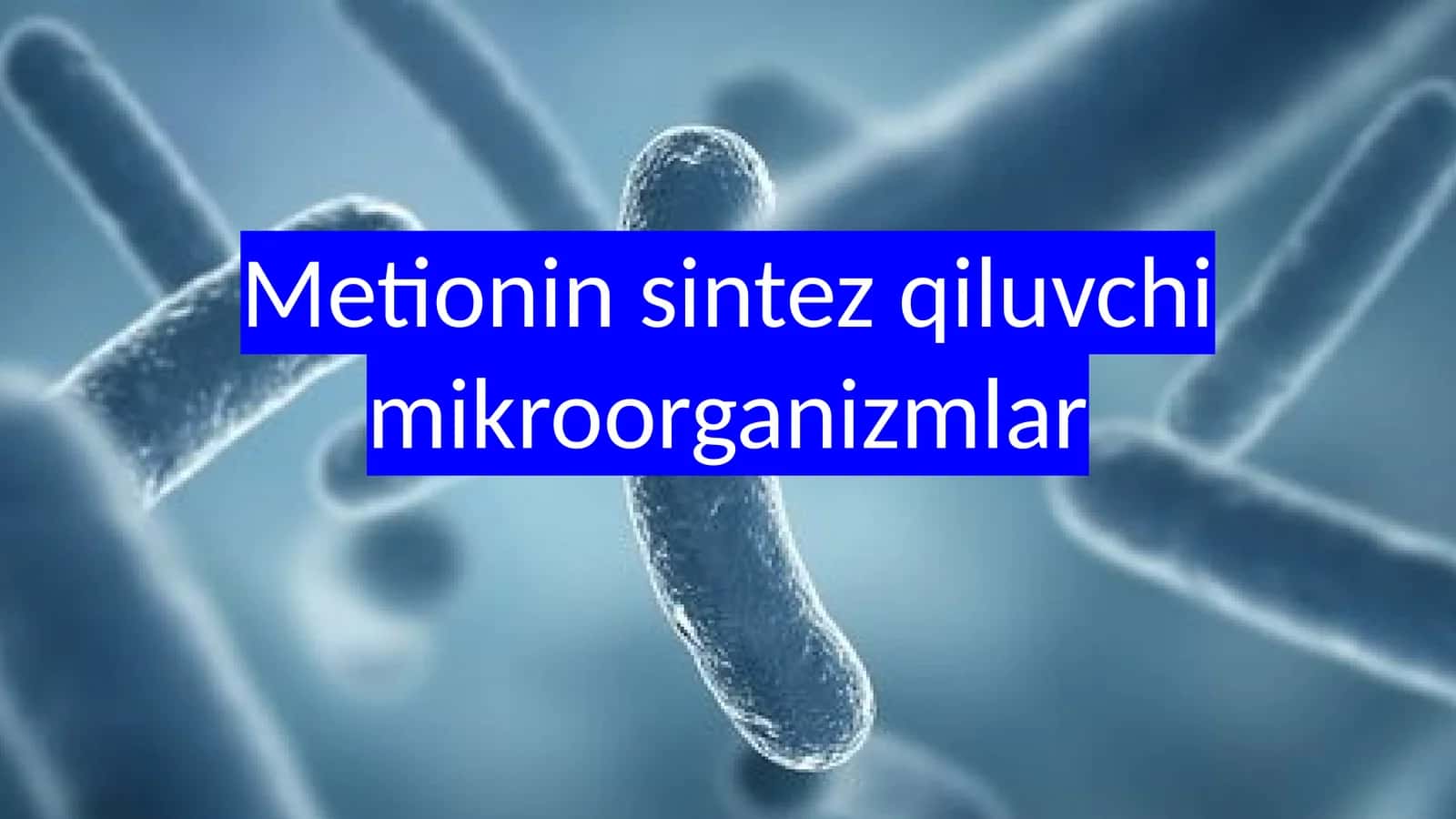 Metionin sintez qiluvchi mikroorganizmlar