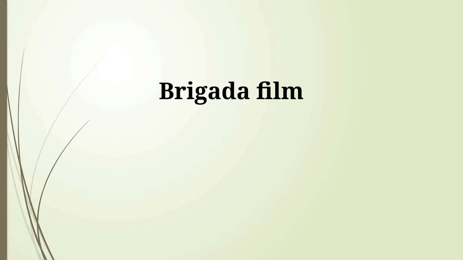 Brigada film
