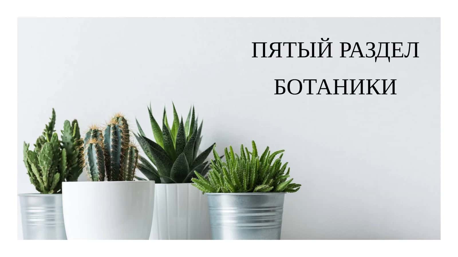 ПЯТЫЙ РАЗДЕЛ БОТАНИКИ