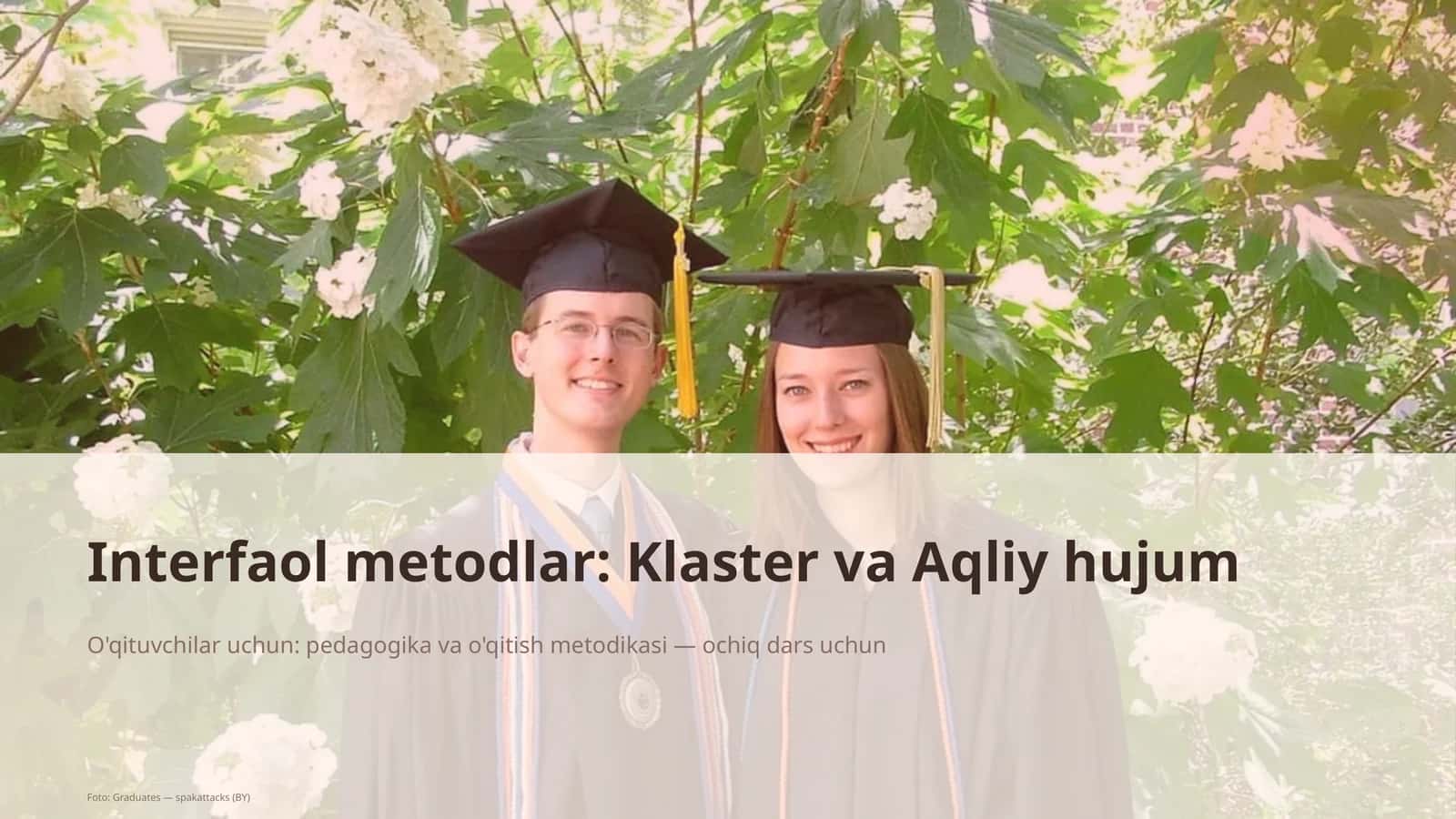 Interfaol metodlar: Klaster va Aqliy hujum