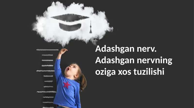 Adashgan nerv