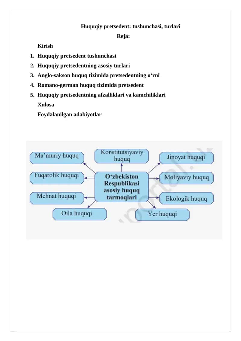 Huquqiy pretsedent: tushunchasi, turlari