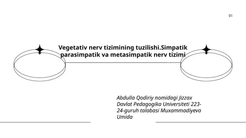 Vegetativ nerv tizimining tuzilishi