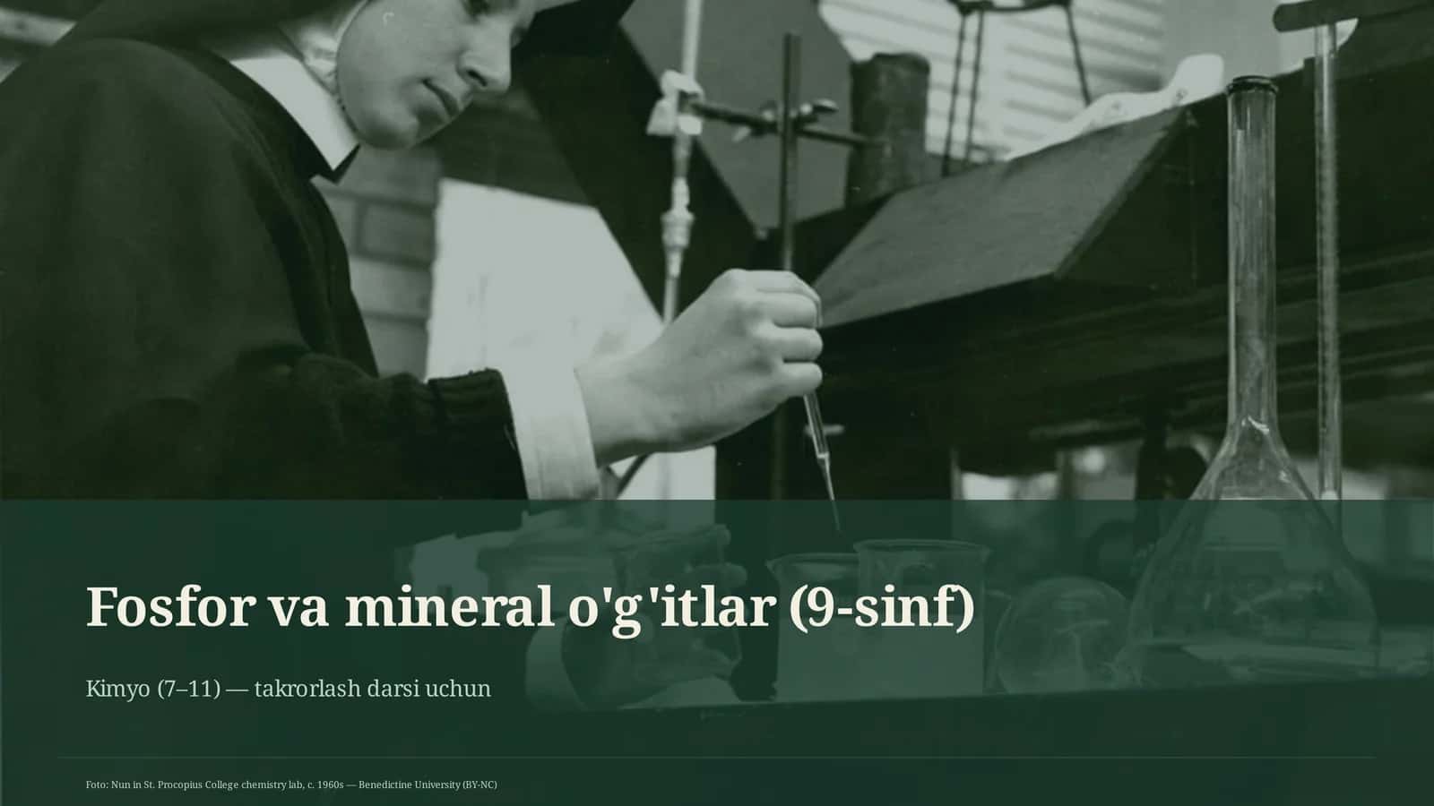 Fosfor va mineral o'g'itlar (9-sinf)